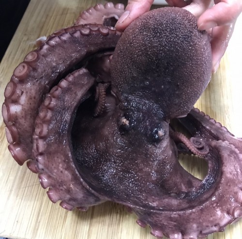 S__3039252 S__3039252